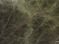 Antan Marble Forest Green AFGR001